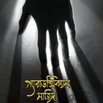 প্যারাডক্সিক্যাল সাজিদ