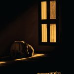 প্রত্যাবর্তন